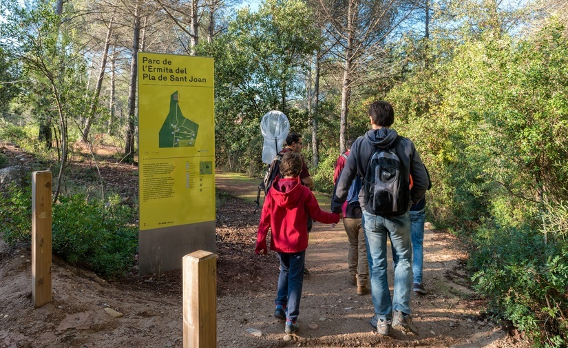 132 toneladas de carbono son absorbidas por los árboles de los parques metropolitanos