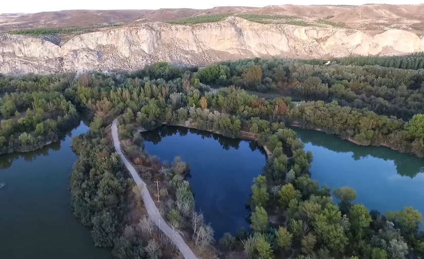 1,5 millones al contrato zaragozano de Conservación y Matenimiento de Montes y Riberas