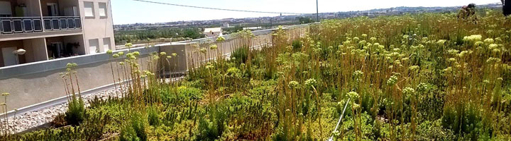 Falta de legislación, concienciación y dificultad en los proyectos frenan todavía el desarrollo de SuDS en las ciudades españolas