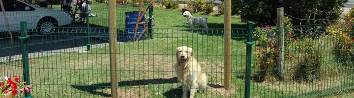 Sabadell habilita las dos primeras áreas de recreo para perros