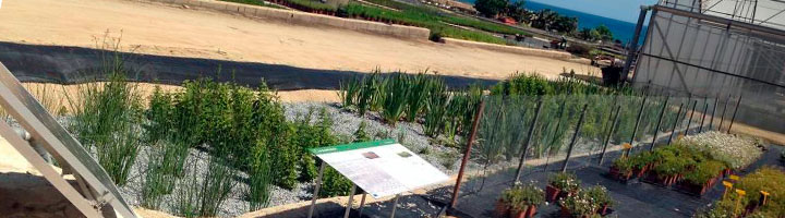 Presentan un nuevo sistema de tratamiento de lixiviados de plantas basado en procesos naturales