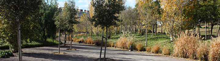 Los parques públicos valencianos suspenden en accesibilidad según el estudio de un estudiante de la ETSIAMN