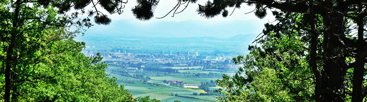 Alcaldes europeos comprueban la aplicación práctica de la política energética y de transporte de Vitoria-Gasteiz