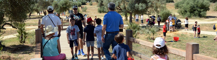 El Parque Olivar del Zaudín, un espacio para que los vecinos de Tomares disfruten de la naturaleza y el deporte