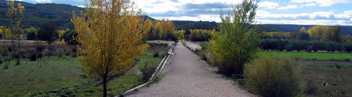 La Diputación de Valencia destina 12 millones de euros a caminos rurales