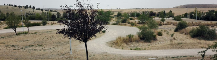 Madrid inicia la primera fase de rehabilitación del parque de la Gavia