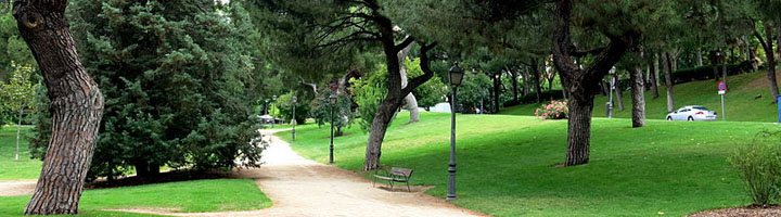 Inversiones sostenibles para mejorar las zonas verdes de Madrid