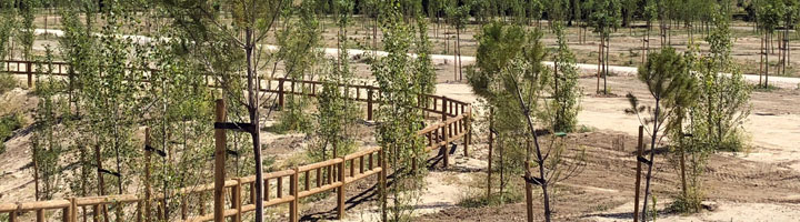 Una parcela de 13,5 hectáreas se convierte en un sumidero de CO2 junto al río Manzanares