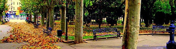 Salamanca mejorará y modernizará varias plazas y parques para convertirlos en lugares más accesibles