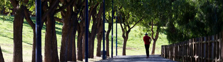 Sevilla licita por 136.000 euros la obra de ampliación de los Viveros de Miraflores