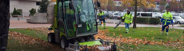 Palma aprueba los pliegos para la licitación del contrato de servicios de mantenimiento de zonas verdes