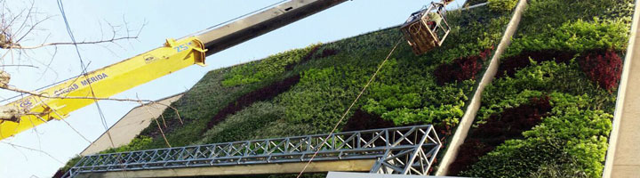 Ignacio Solana finaliza el jardín vertical más grande de Bolivia