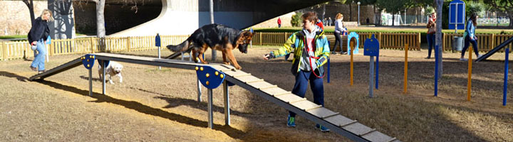 Circuito canino agílity: ¡Haciendo deporte con tu mascota!