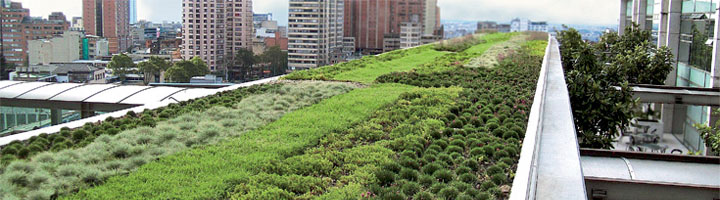 Cubiertas vegetales: refrigeración natural para los edificios