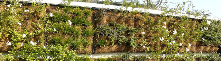 Jardines verticales, una solución efectiva para los climas mediterráneos