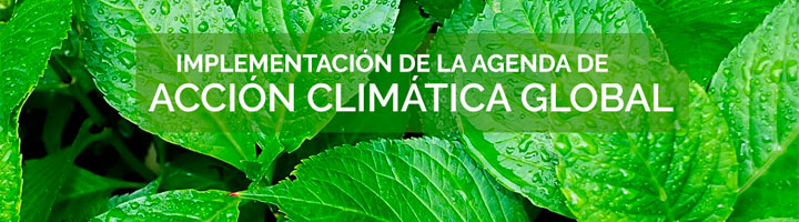 Se presenta la Plataforma Española de Acción Climática en cumplimiento del Acuerdo de París