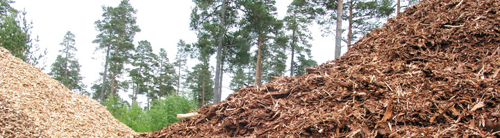 La biomasa irrumpe con fuerza en las nuevas políticas locales que buscan soluciones energéticas eficientes