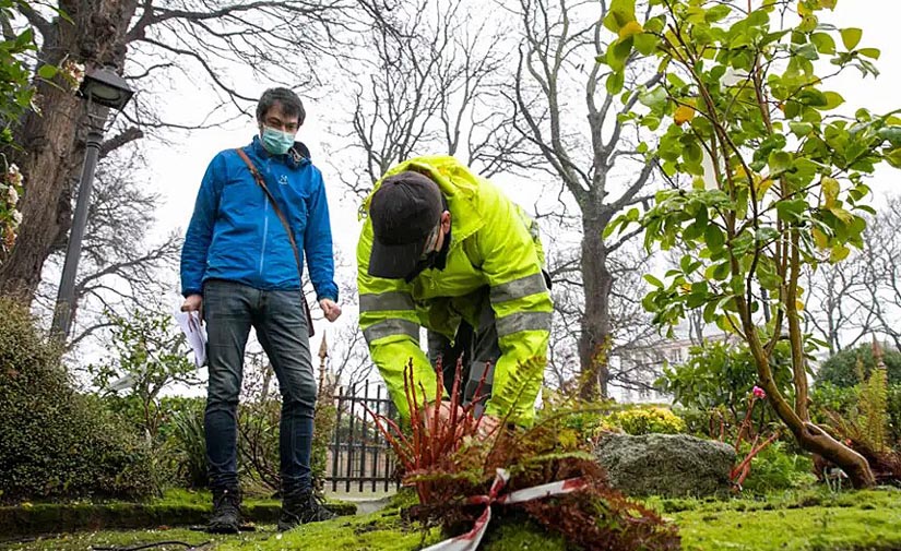 A Coruña impulsa la rehabilitación integral de los jardines de San Carlos, recuperando su trazado histórico