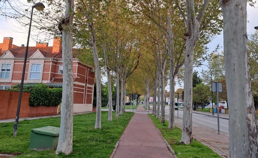 ACCIONA gestionará la conservación y el control de la vegetación en Getafe durante los próximos cuatro años