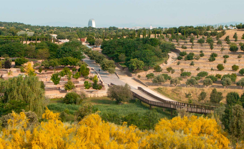 ACCIONA lidera la conservación y transformación sostenible de uno de los grandes pulmones verdes de Madrid