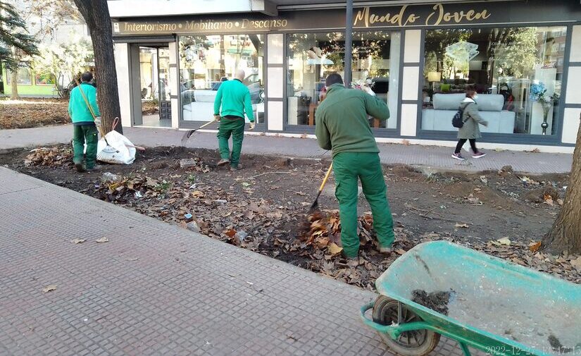 Alcalá de Henares aumenta la inversión para la mejora de las zonas verdes y el arbolado