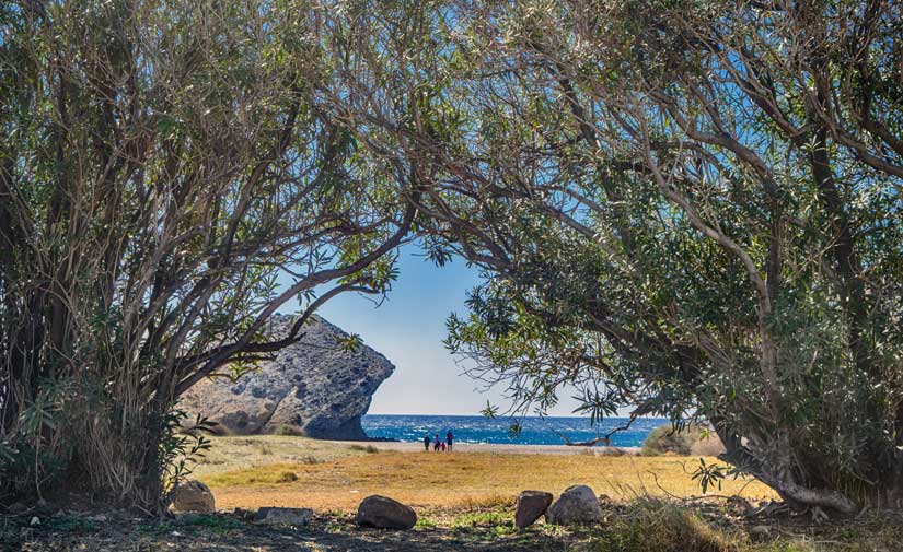 Almería gana en un año más de 72.000 metros cuadrados de zonas verdes y planta alrededor de 800 árboles