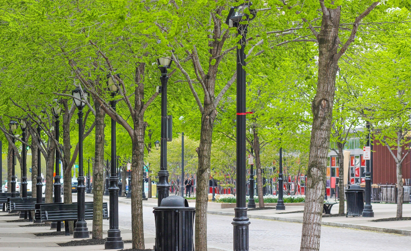 Andalucía destina cinco millones a proyectos municipales frente al cambio climático