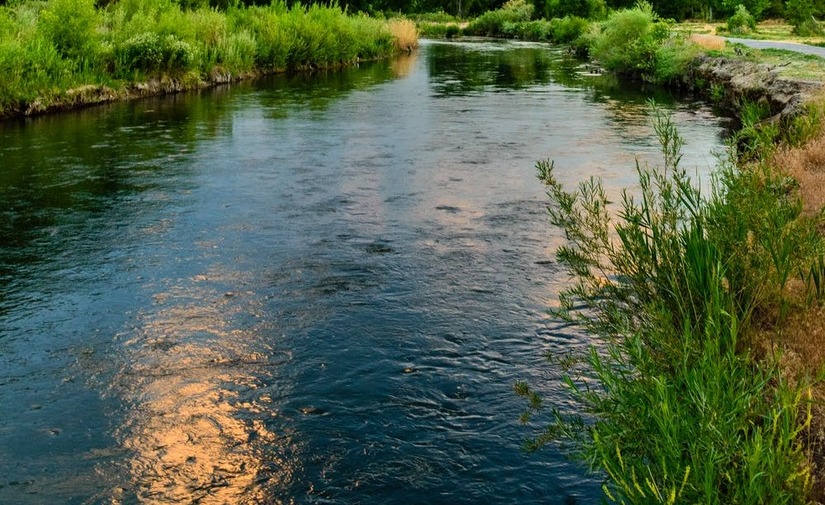 Aprobado el contrato de conservación del río Manzanares