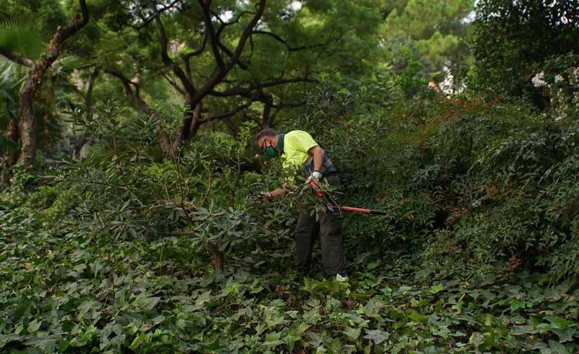 Barcelona refuerza sus planes de actuación para parques y jardines