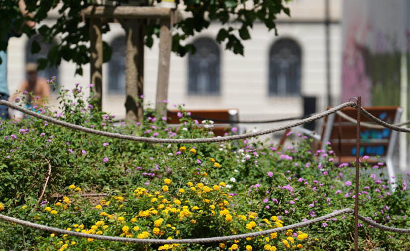 Barcelona se regirá por la Carta del Verde y la Biodiversidad para diseñar sus espacios