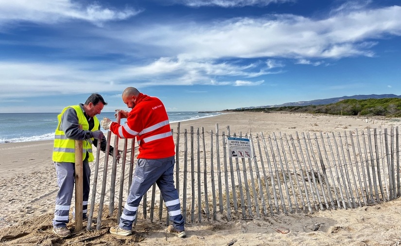Blindada la playa del Remolar de Viladecans hasta agosto para favorecer la nidificación