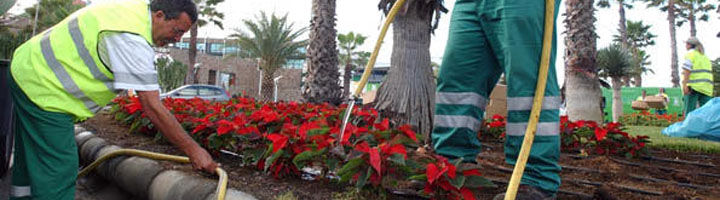Las Palmas de Gran Canaria saca a concurso el nuevo contrato de mantenimiento de parques y jardines