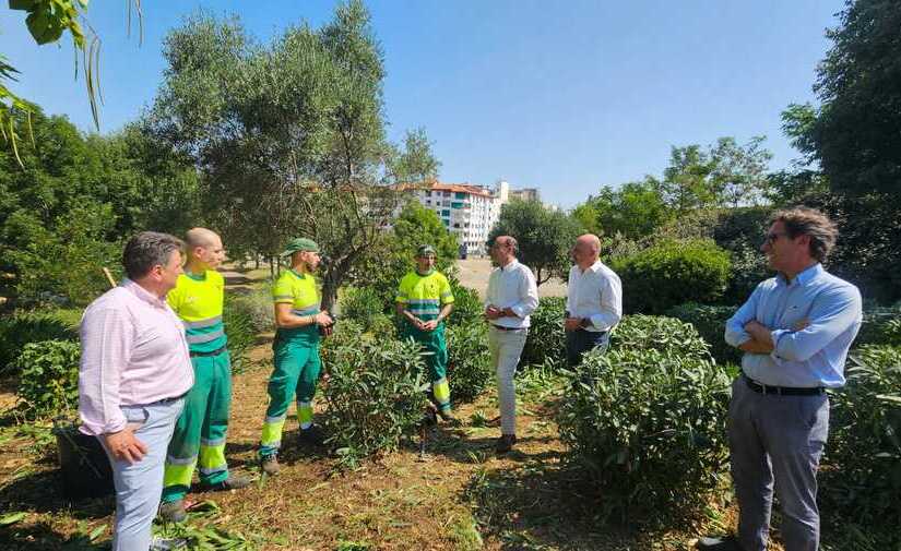 Cáceres destina 6,7 millones al refuerzo del mantenimiento de zonas verdes