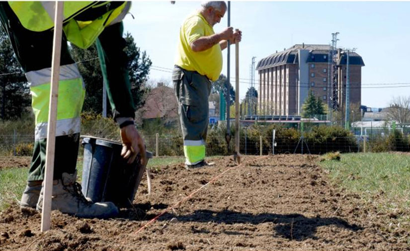 Calculan el impacto medioambiental de las infraestructuras verdes en las ciudades