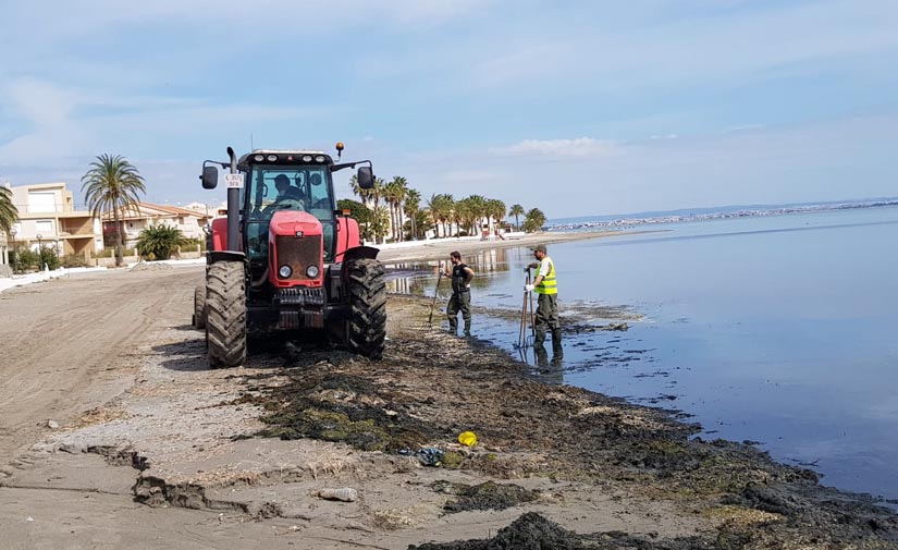 Cerca de una veintena de operarios retoman el mantenimiento del litoral en Cartagena