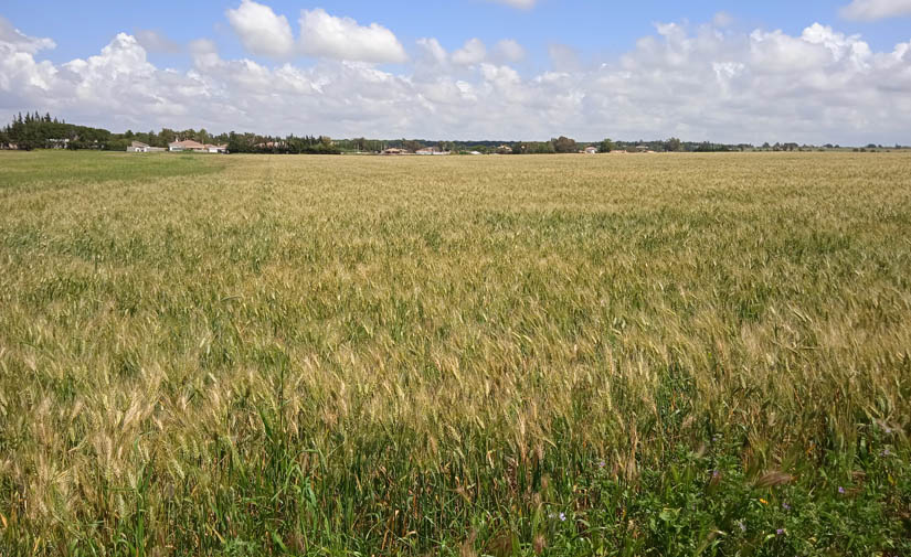 Chiclana de la Frontera se suma al autoconsumo a través de la implantación de plantas solares