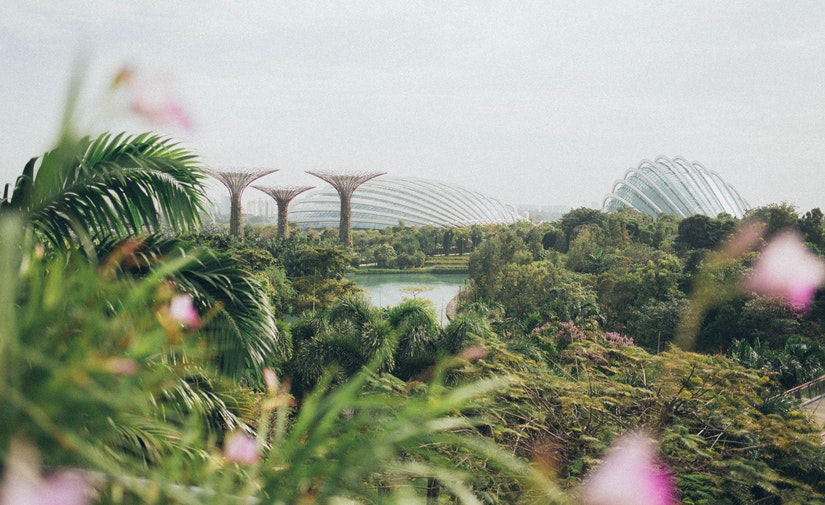 Ciudades jardín contra el déficit de naturaleza urbano