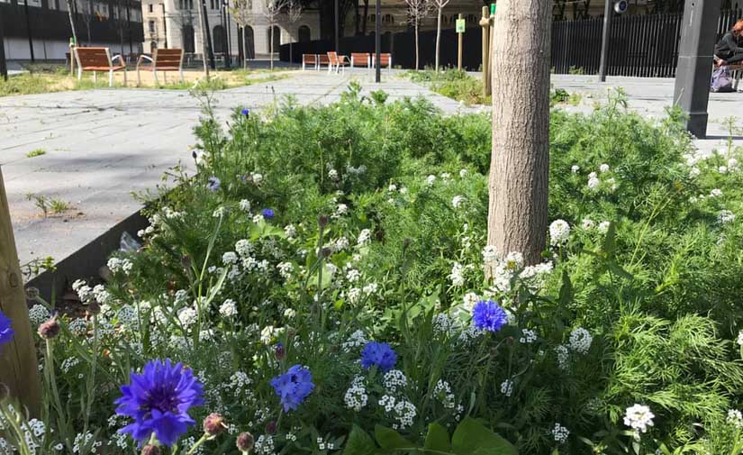 Cómo gestionar la naturalización mediante el concepto de infraestructura verde