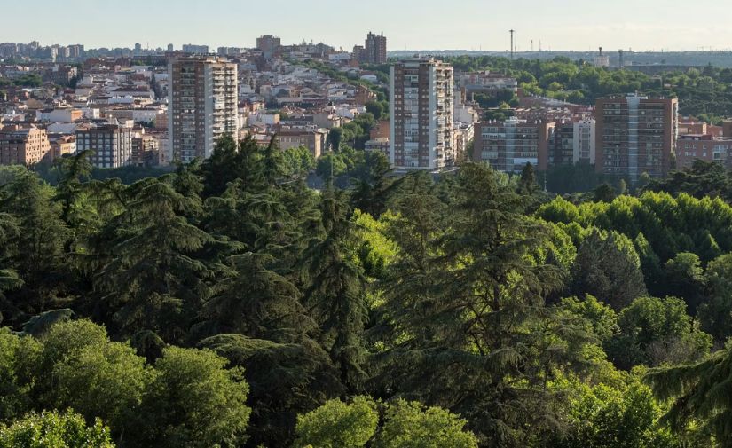 Contra el calor urbano, más naturaleza
