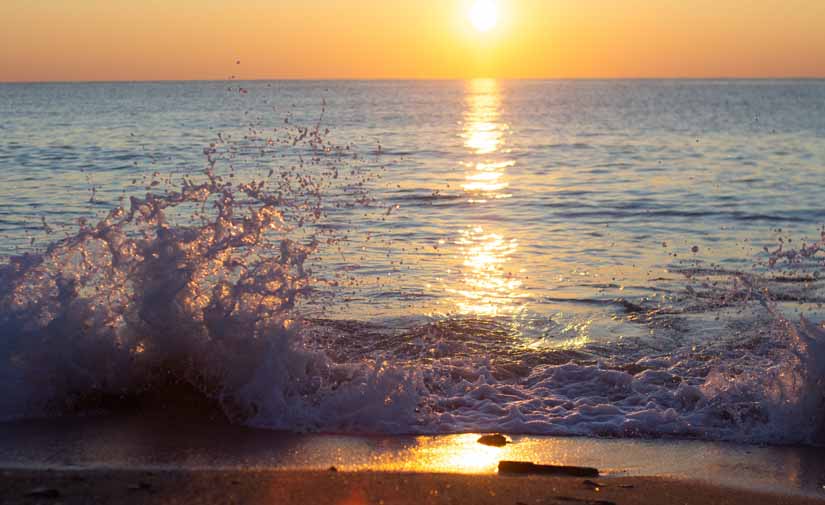 Desinfección de las playas de Barcelona