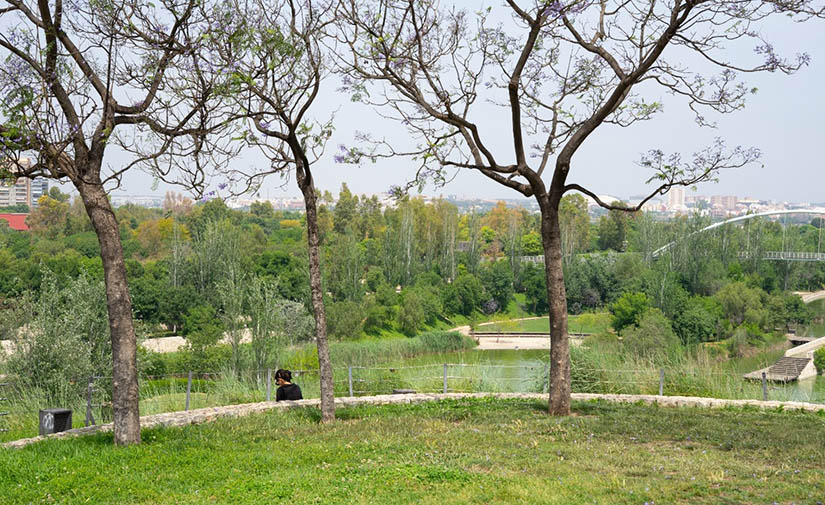 El 70% de los valencianos tiene una zona verde adaptada al cambio climático a cinco minutos de casa