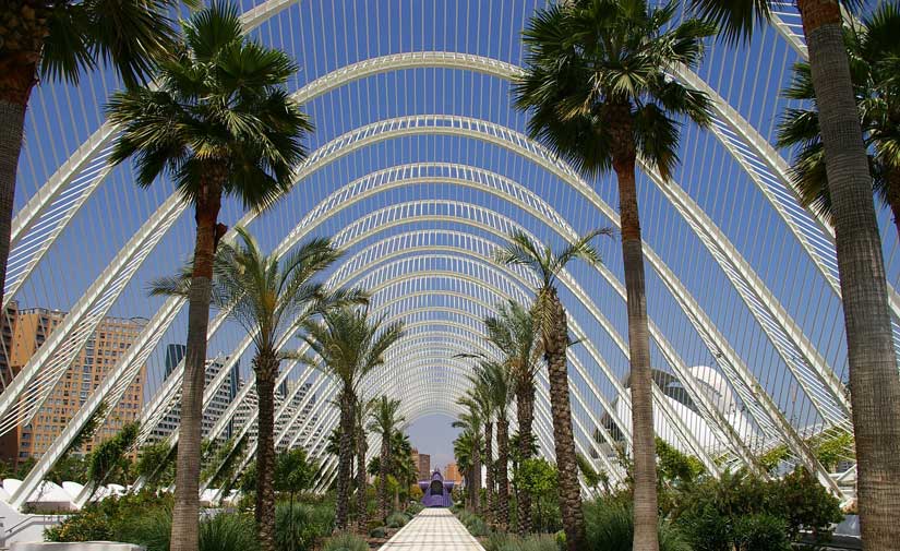 El alcalde de Valencia anuncia el primer plan verde y de la biodiversidad de la ciudad para hacer frente al cambio climático