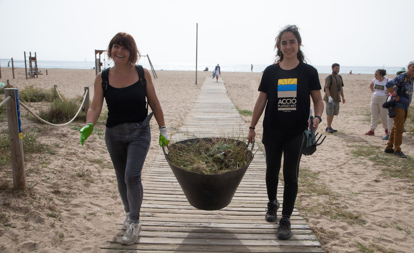 El AMB celebra este domingo su sexta jornada de sensibilización y educación en playas metropolitanas