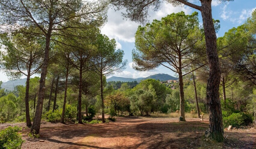 El AMB y el Consejo Comarcal del Baix Llobregat colaboran por la biodiversidad