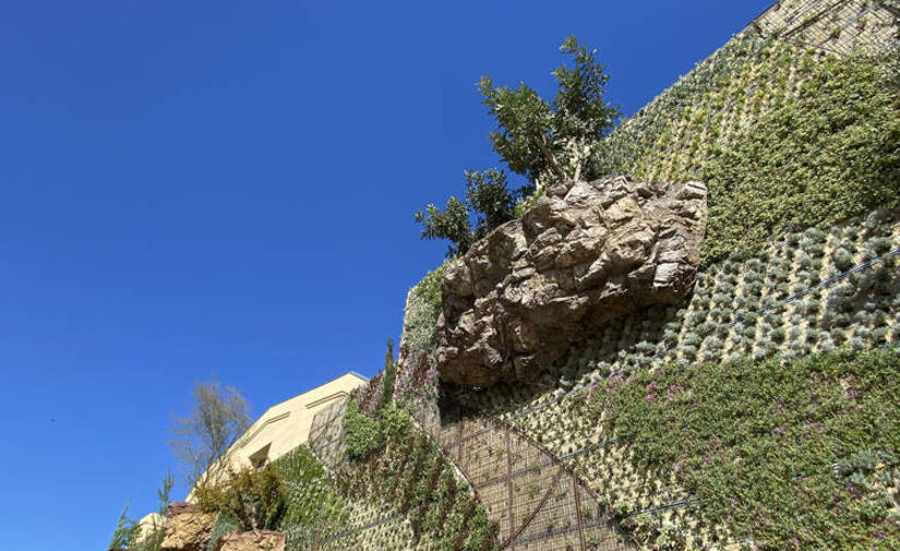 El Ayuntamiento de Barcelona inaugura el primer bosque vertical con árboles en suspensión