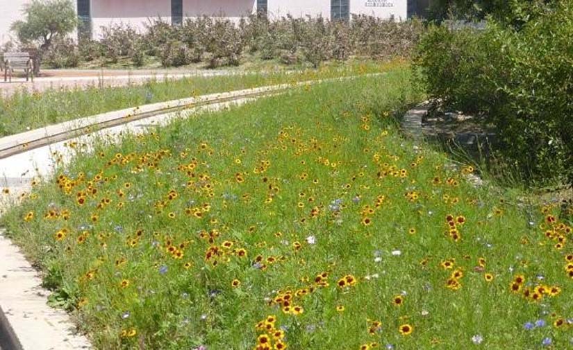 El Ayuntamiento de Huesca gana el Premio de Buenas Prácticas Locales por la Biodiversidad de la FEMP