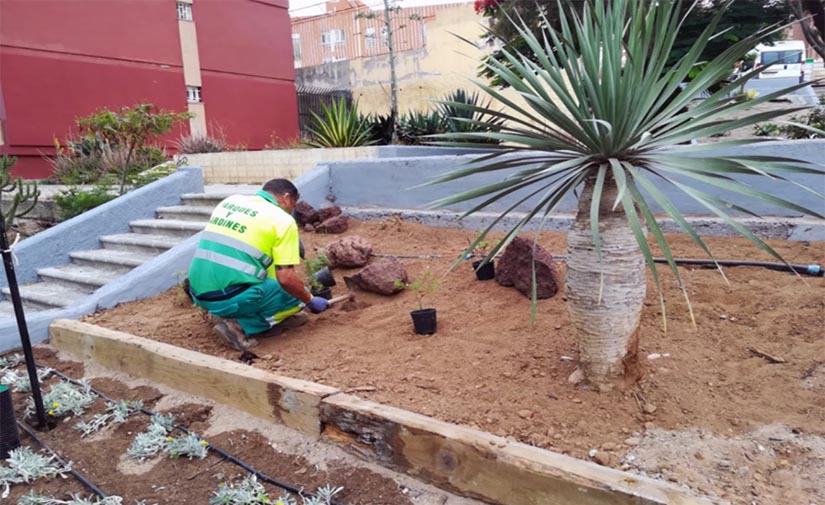 El Ayuntamiento de Las Palmas de Gran Canaria dinamiza las zonas verdes de la Vega de San José con nuevo equipamiento y vegetación