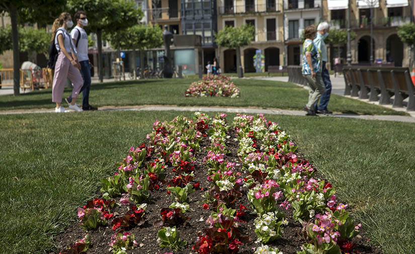 El Ayuntamiento de Pamplona comienza la plantación de parterres de flor de primavera
