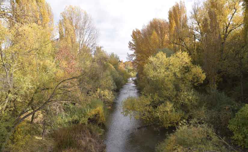 El Ayuntamiento de Pamplona continúa con el estudio de los entornos fluviales