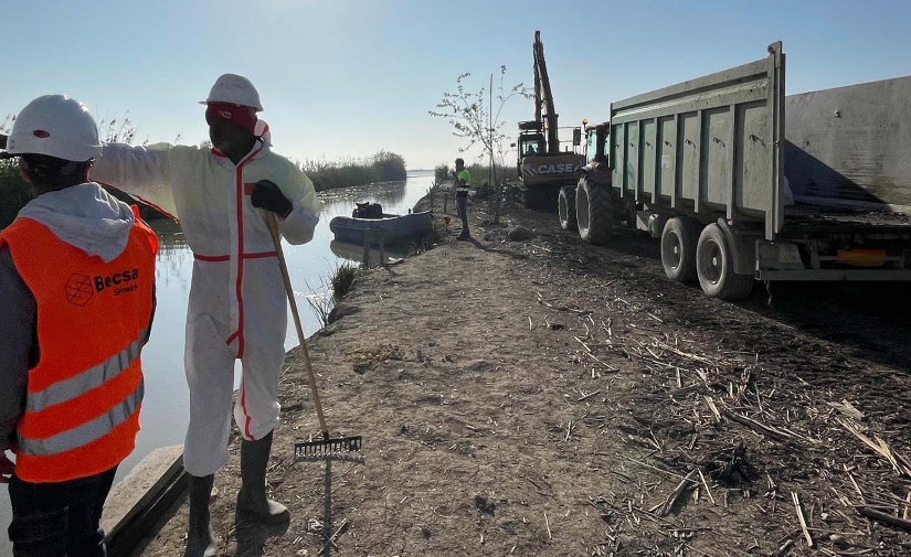 El Ayuntamiento de Valencia retira 2.475 toneladas de residuos de l'Albufera tras la riada de octubre